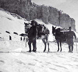 San Valentino portatori italiani